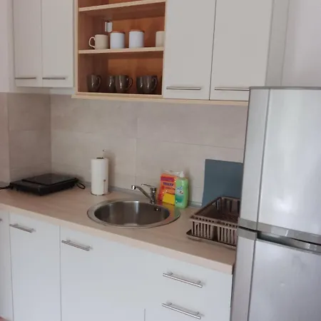 Apartment Vesna M Soko Banja