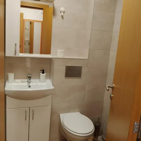 Apartment Vesna M Soko Banja