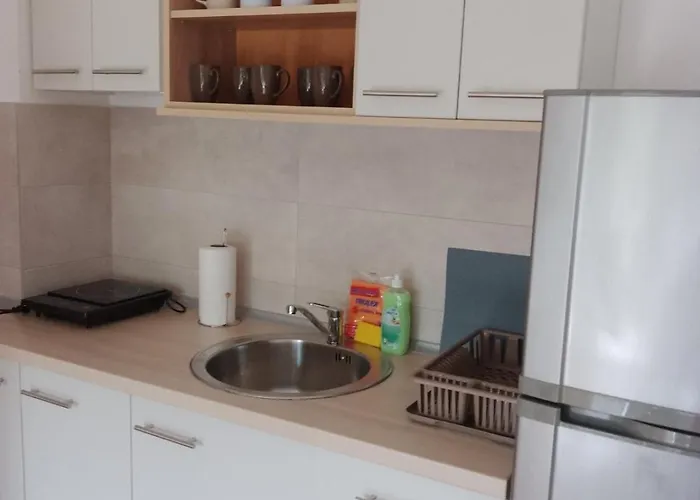 Апартаменты Vesna M Сокобаня