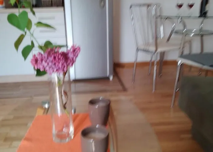 Vesna M Сокобаня