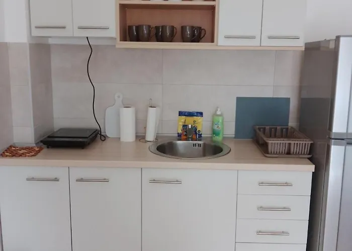 Vesna M Сокобаня