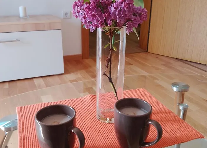 Vesna M Сокобаня