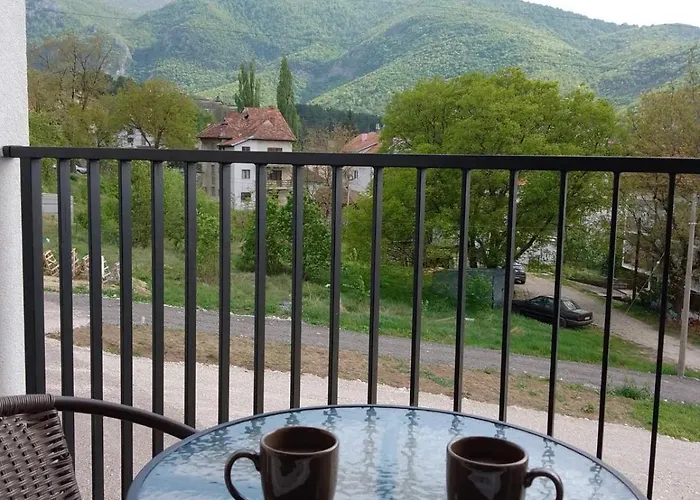 Vesna M Сокобаня