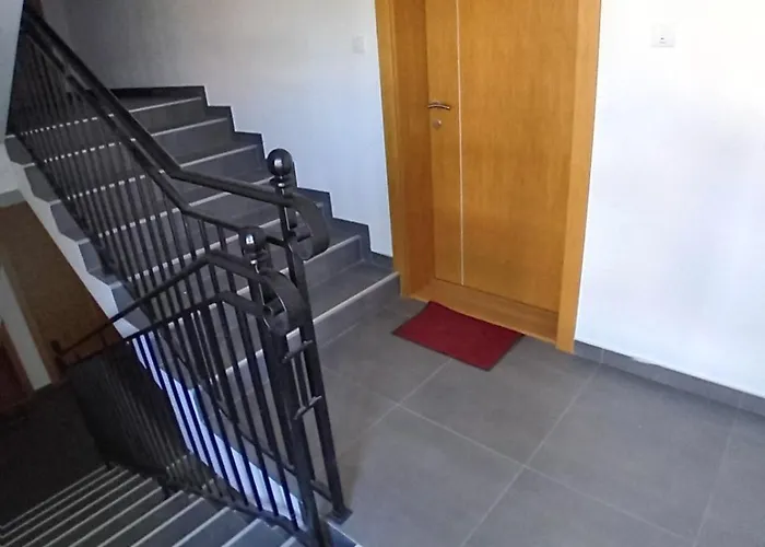 Vesna M Сокобаня