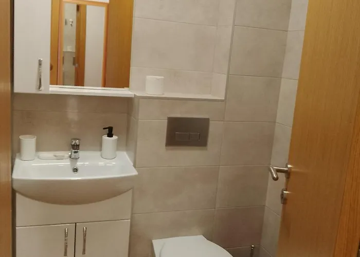 Апартаменты Vesna M Сокобаня